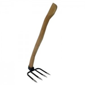 Skoon Cangkrang (LG-CK01)